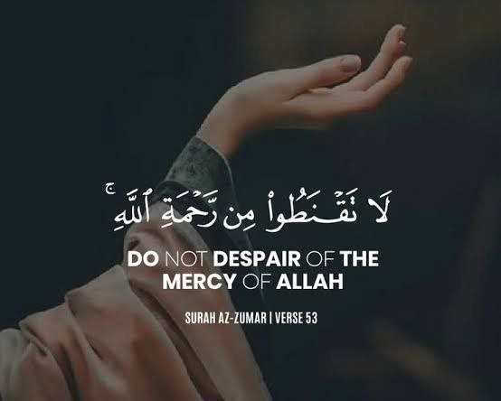 Video Creation and Editing Course for Social Media Growth