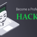 Learn a Professional Ethical Hacking Course