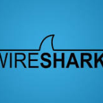 Wireshark Ninja: Mastering Real Wireshark for Network Analysis